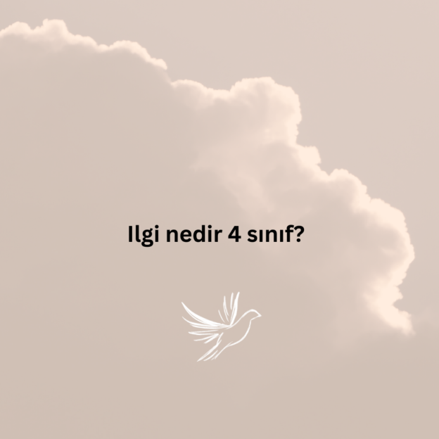 Ilgi nedir 4 sınıf? 1
