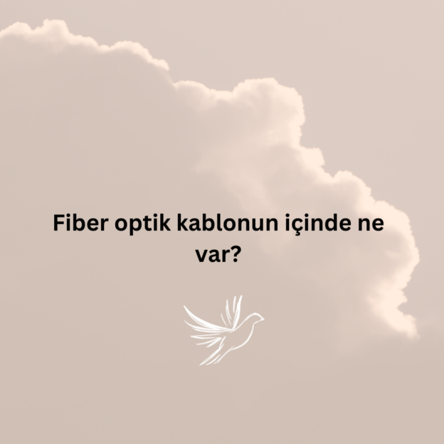 Fiber optik kablonun içinde ne var? 1