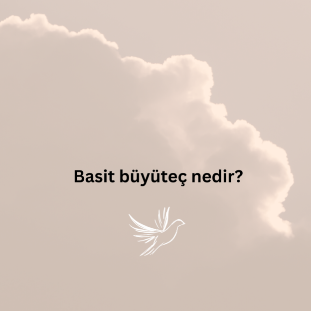 Basit büyüteç nedir? 1