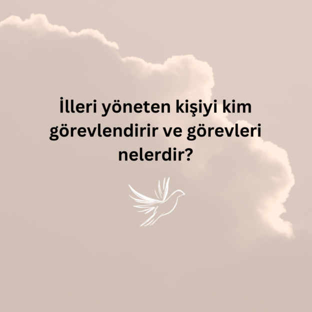İlleri yöneten kişiyi kim görevlendirir ve görevleri nelerdir? 1