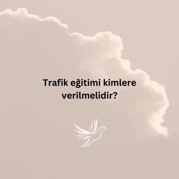 Trafik eğitimi kimlere verilmelidir? 1