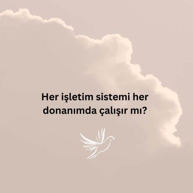 Her işletim sistemi her donanımda çalışır mı? 1
