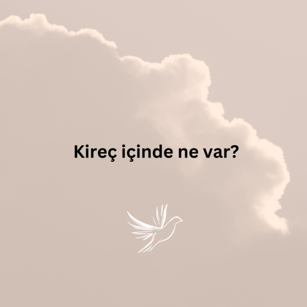 Kireç içinde ne var? 1