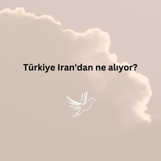 Türkiye Iran'dan ne alıyor? 1