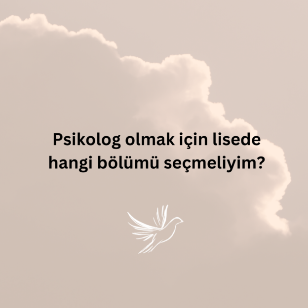 Psikolog olmak için lisede hangi bölümü seçmeliyim? 1
