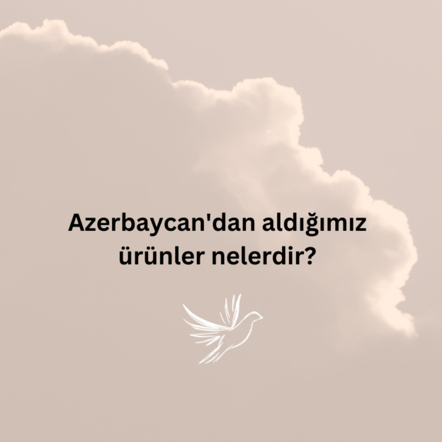 Azerbaycan'dan aldığımız ürünler nelerdir? 1