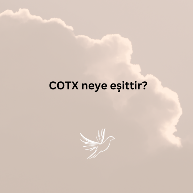 COTX neye eşittir? 1