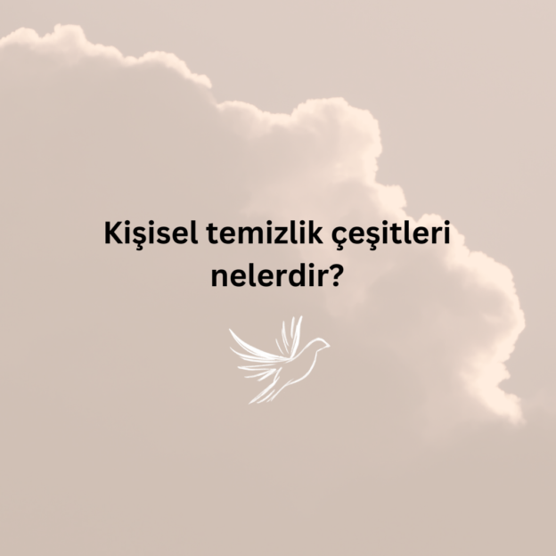 Kişisel temizlik çeşitleri nelerdir? 1