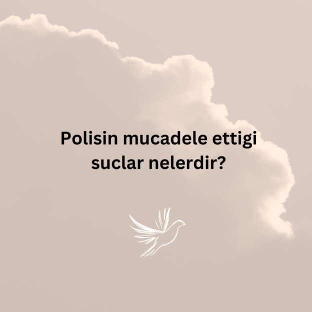 Polisin mucadele ettigi suclar nelerdir? 1