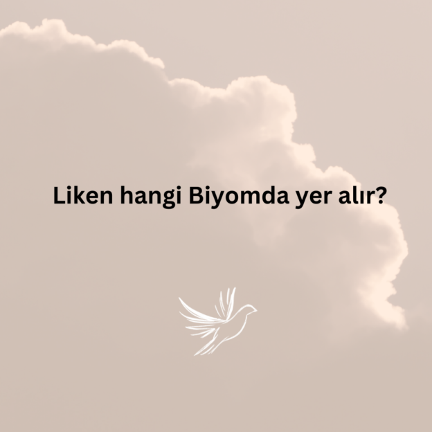 Liken hangi Biyomda yer alır? 1