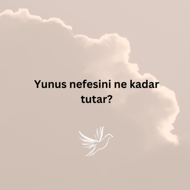 Yunus nefesini ne kadar tutar? 1