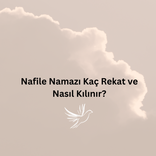 Nafile Namazı Kaç Rekat ve Nasıl Kılınır? 1