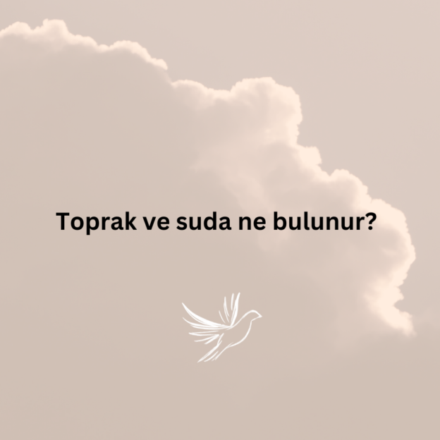 Toprak ve suda ne bulunur? 1
