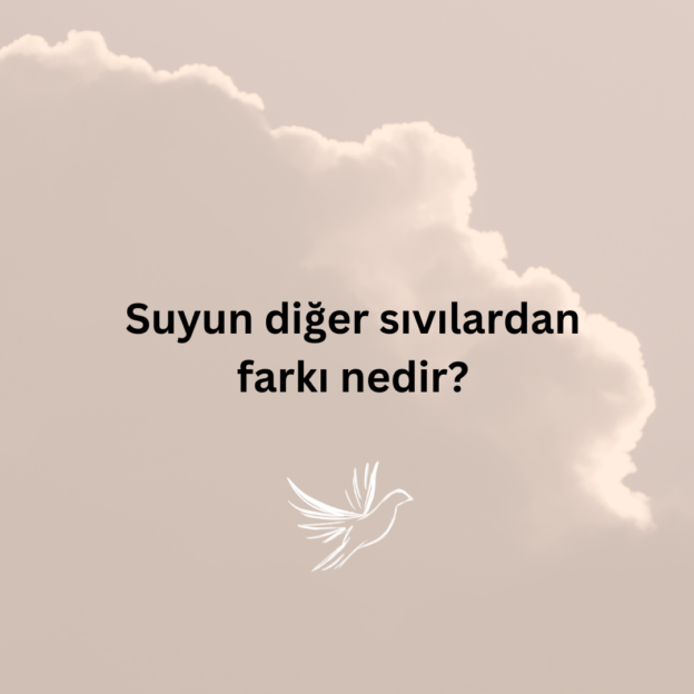 Suyun diğer sıvılardan farkı nedir? 1