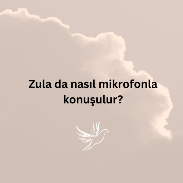 Zula da nasıl mikrofonla konuşulur? 1