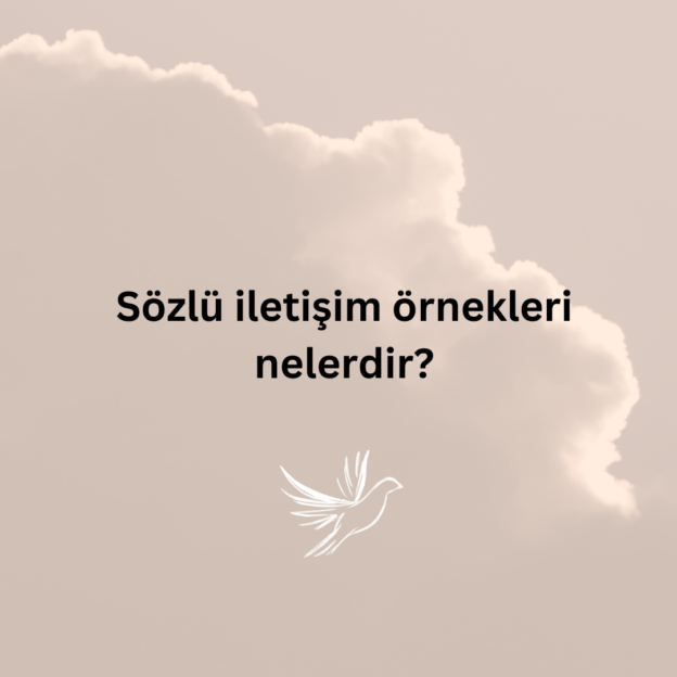 Sözlü iletişim örnekleri nelerdir? 1