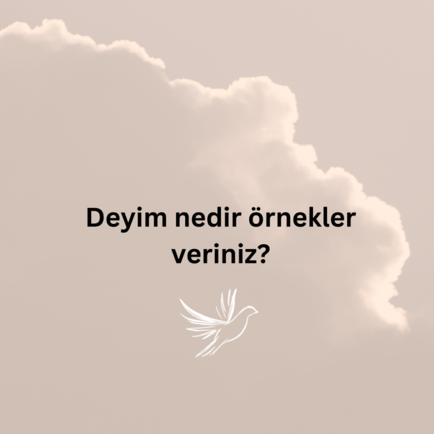 Deyim nedir örnekler veriniz? 1