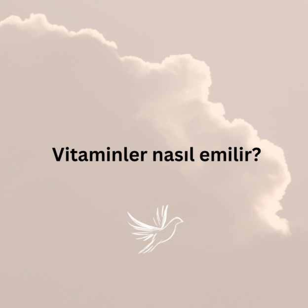 Vitaminler nasıl emilir? 1