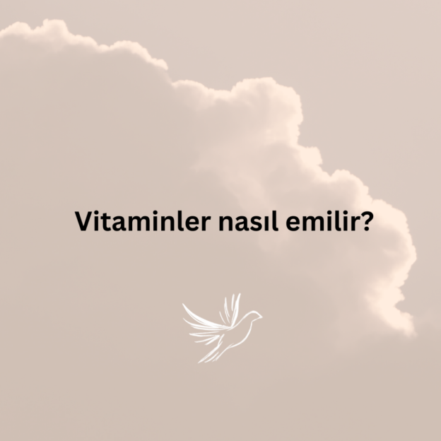 Vitaminler nasıl emilir? 7