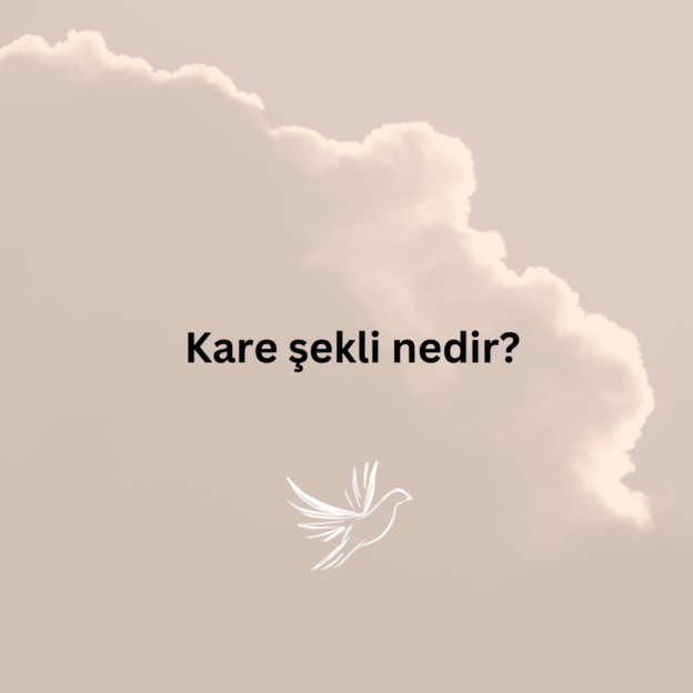 Kare şekli nedir? 1