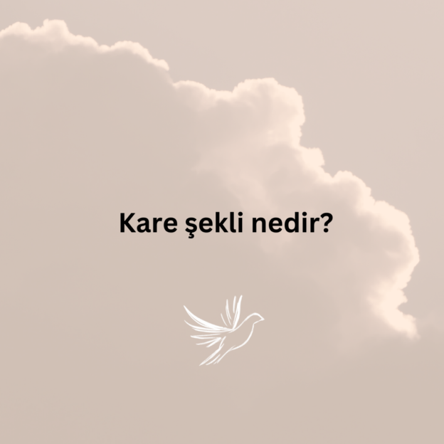 Kare şekli nedir? 6