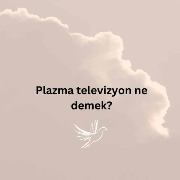 Plazma televizyon ne demek? 1