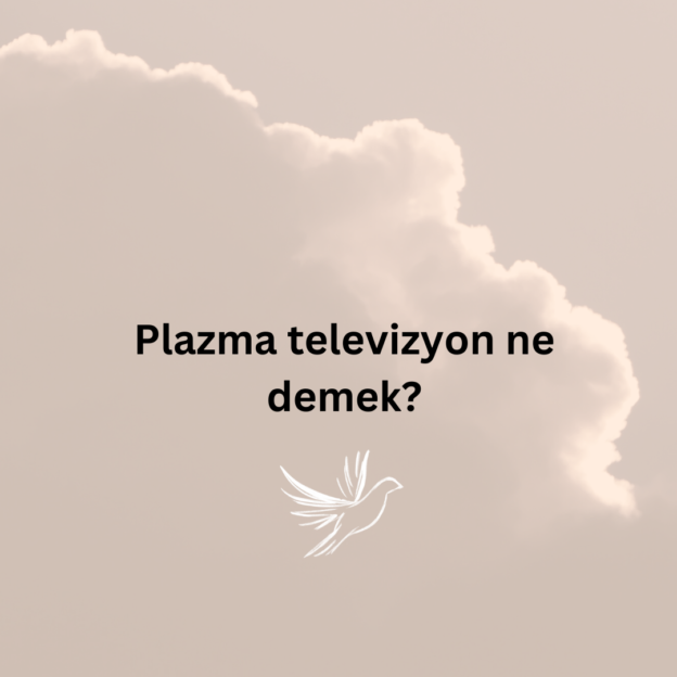 Plazma televizyon ne demek? 5