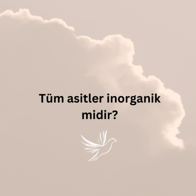 Tüm asitler inorganik midir? 3