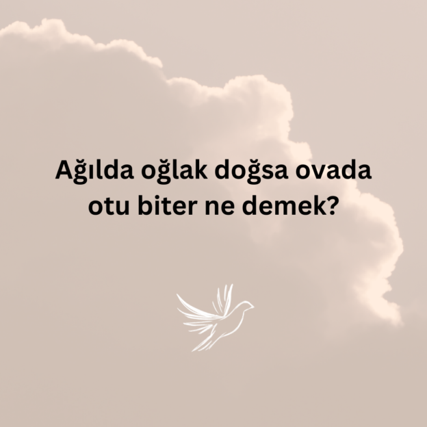 Ağılda oğlak doğsa ovada otu biter ne demek? 1