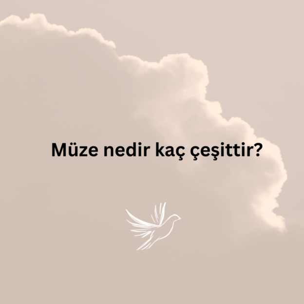 Müze nedir kaç çeşittir? 1