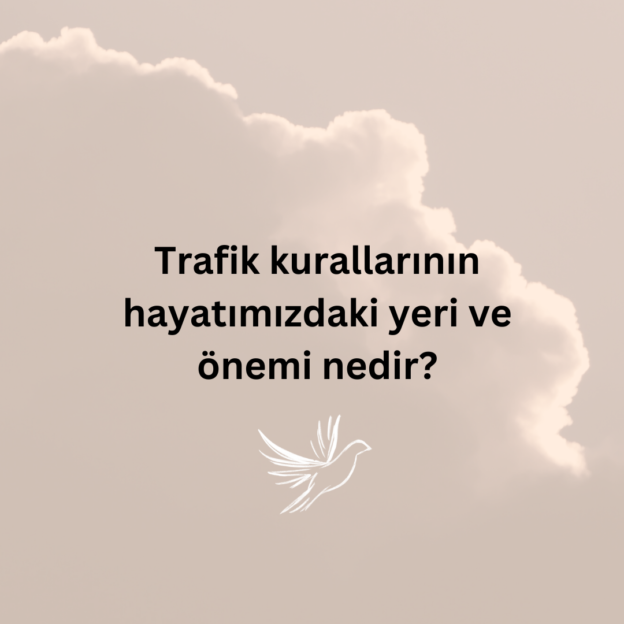 Trafik kurallarının hayatımızdaki yeri ve önemi nedir? 1