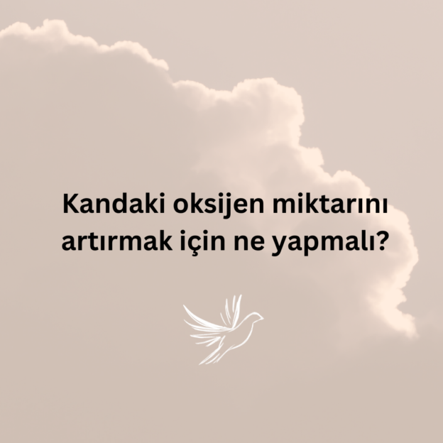 Kandaki oksijen miktarını artırmak için ne yapmalı? 1