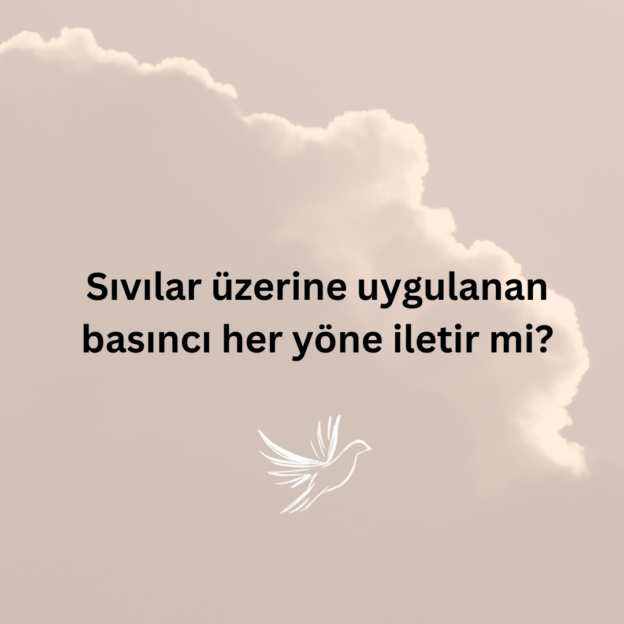 Sıvılar üzerine uygulanan basıncı her yöne iletir mi? 1
