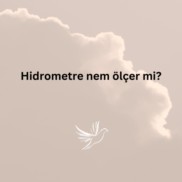 Hidrometre nem ölçer mi? 1