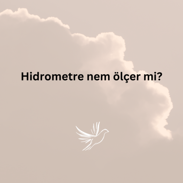 Hidrometre nem ölçer mi? 7