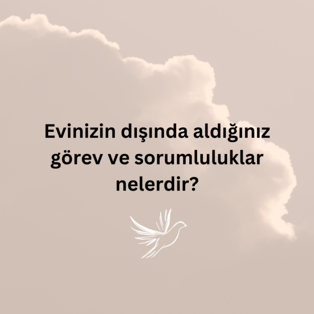 Evinizin dışında aldığınız görev ve sorumluluklar nelerdir? 1