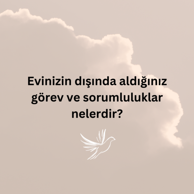 Evinizin dışında aldığınız görev ve sorumluluklar nelerdir? 6