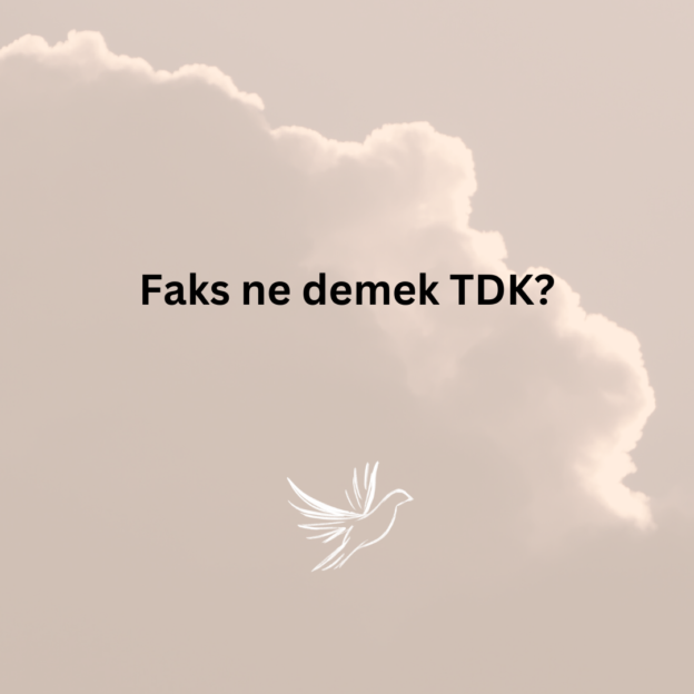 Faks ne demek TDK? 1