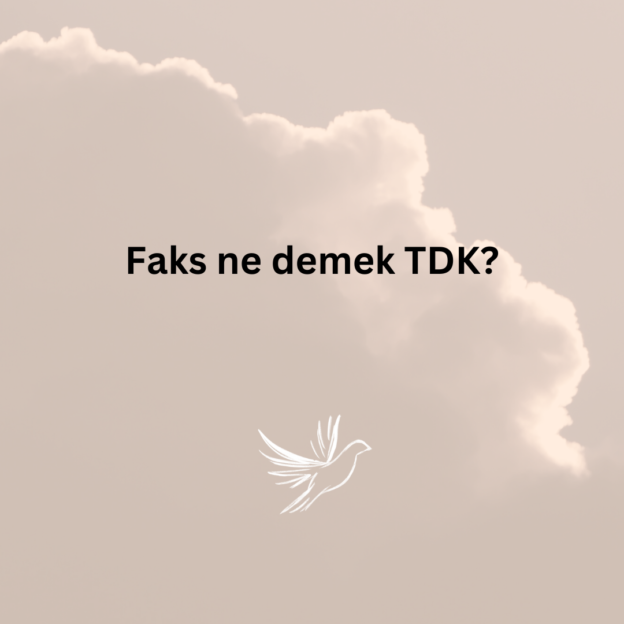 Faks ne demek TDK? 5