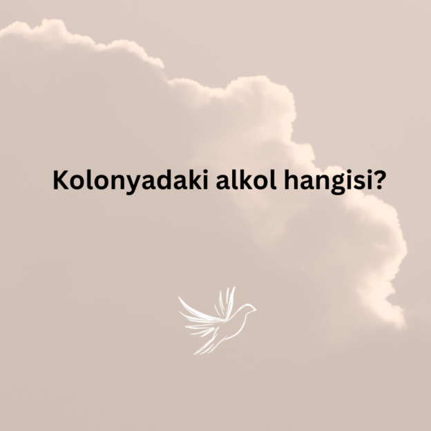 Kolonyadaki alkol hangisi? 1