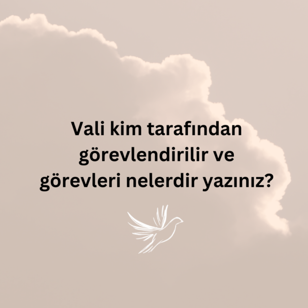 Vali kim tarafından görevlendirilir ve görevleri nelerdir yazınız? 1