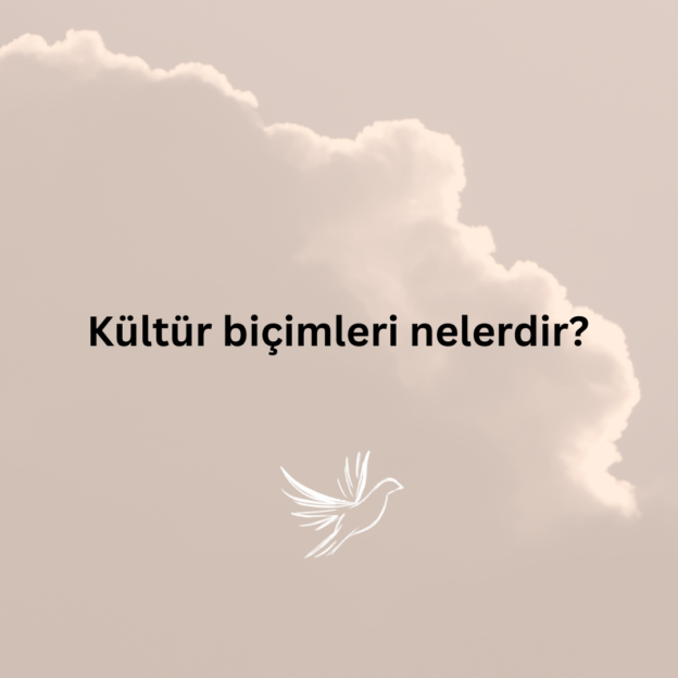 Kültür biçimleri nelerdir? 1