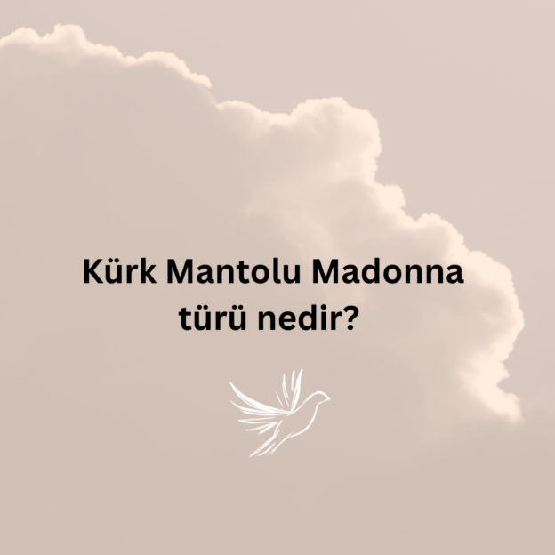 Kürk Mantolu Madonna türü nedir? 1