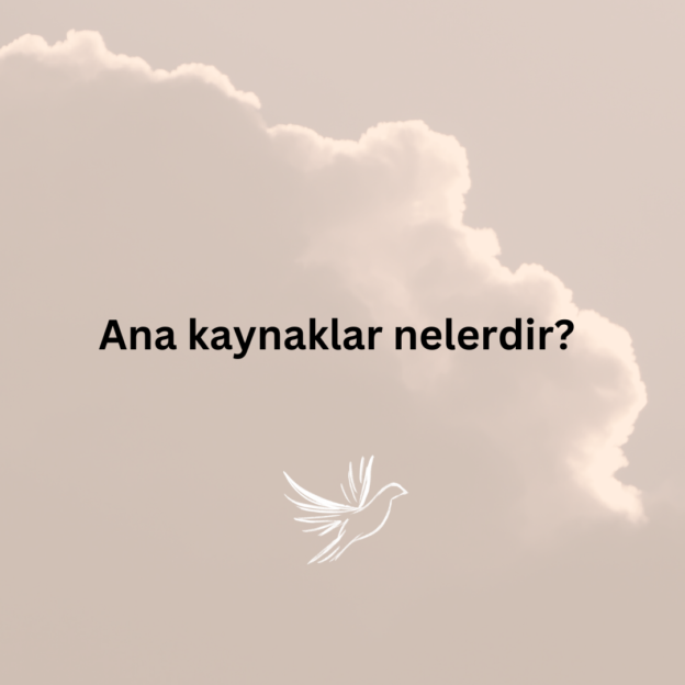 Ana kaynaklar nelerdir? 1