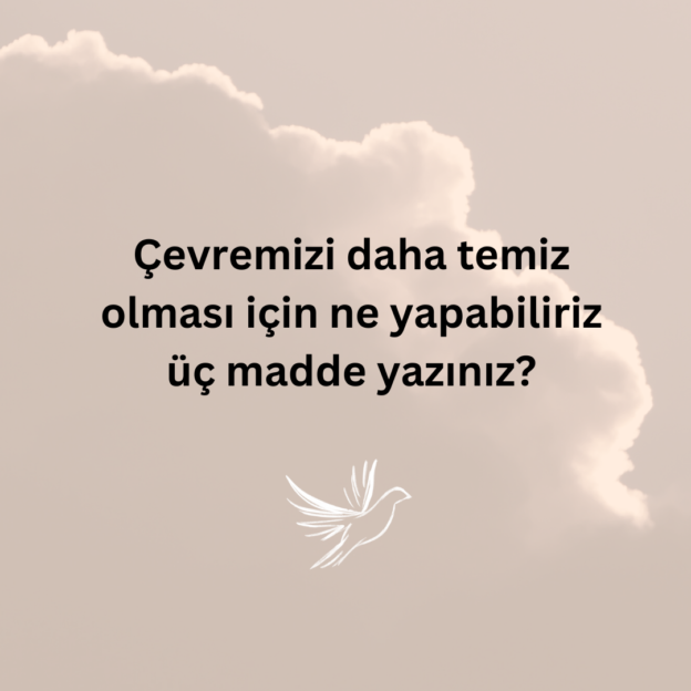 Çevremizi daha temiz olması için ne yapabiliriz üç madde yazınız? 1