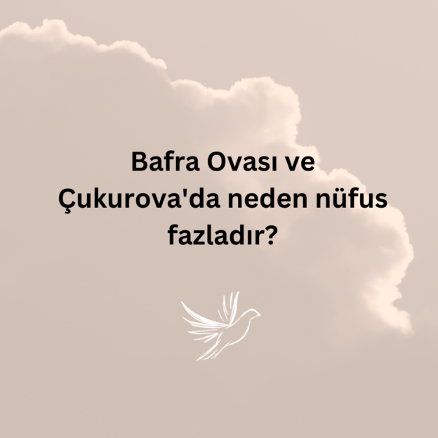 Bafra Ovası ve Çukurova'da neden nüfus fazladır? 1