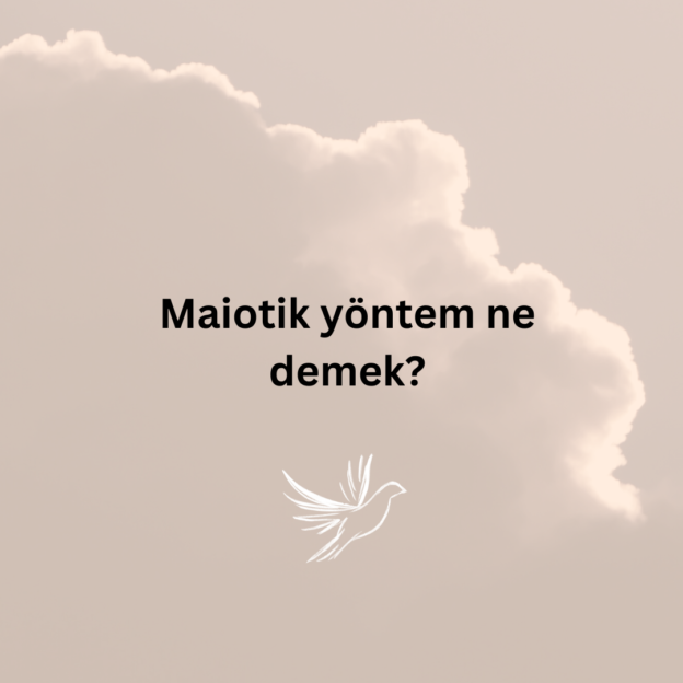 Maiotik yöntem ne demek? 1