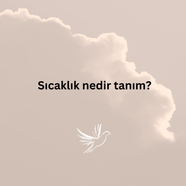 Sıcaklık nedir tanım? 1