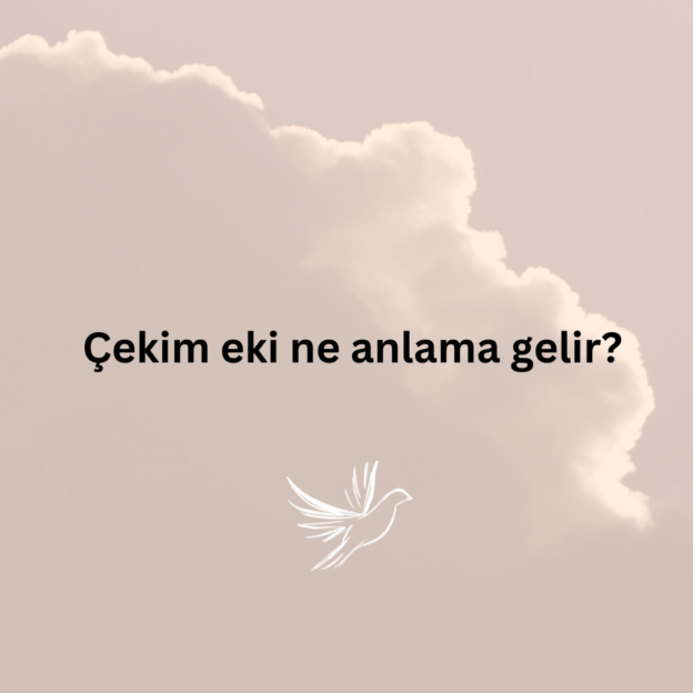 Çekim eki ne anlama gelir? 1