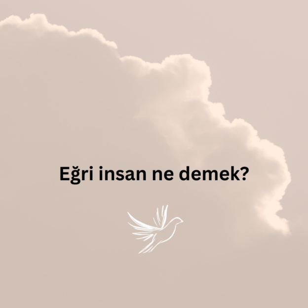 Eğri insan ne demek? 1